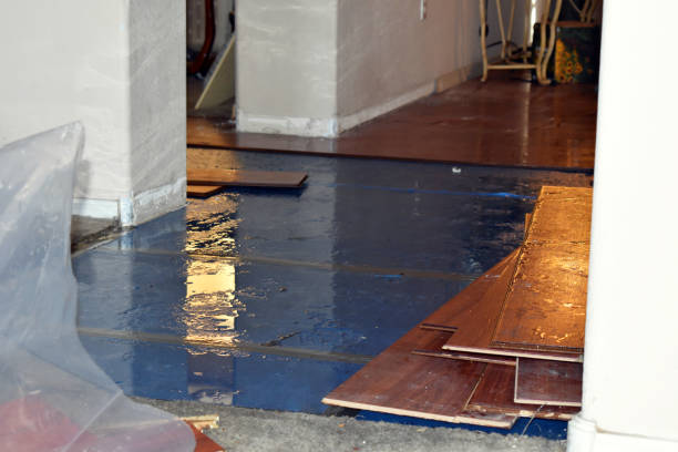 Professional Basement Water Removal technician working in High Point, NC